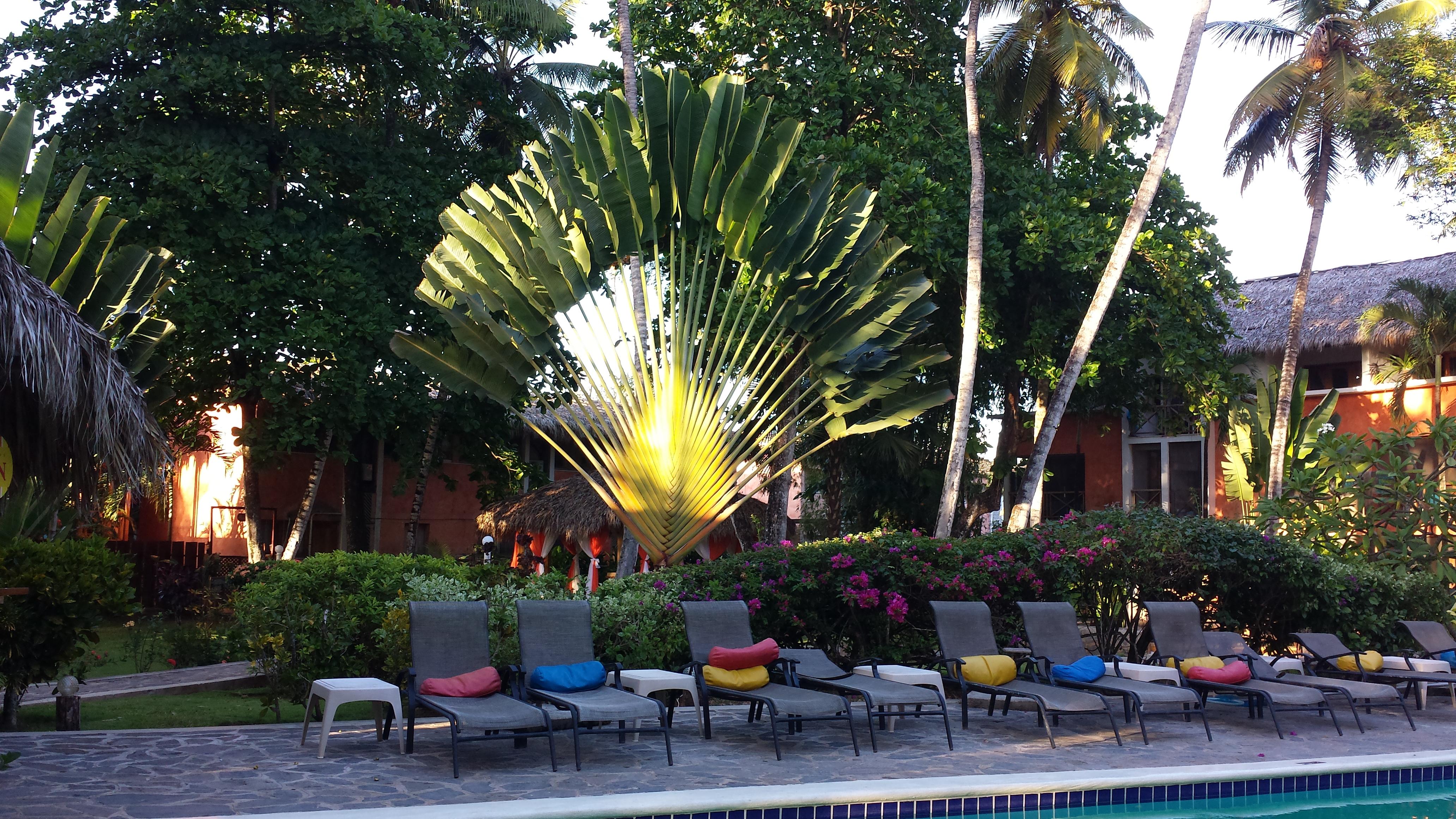 Aparthotel La Residencia Del Paseo Las Terrenas