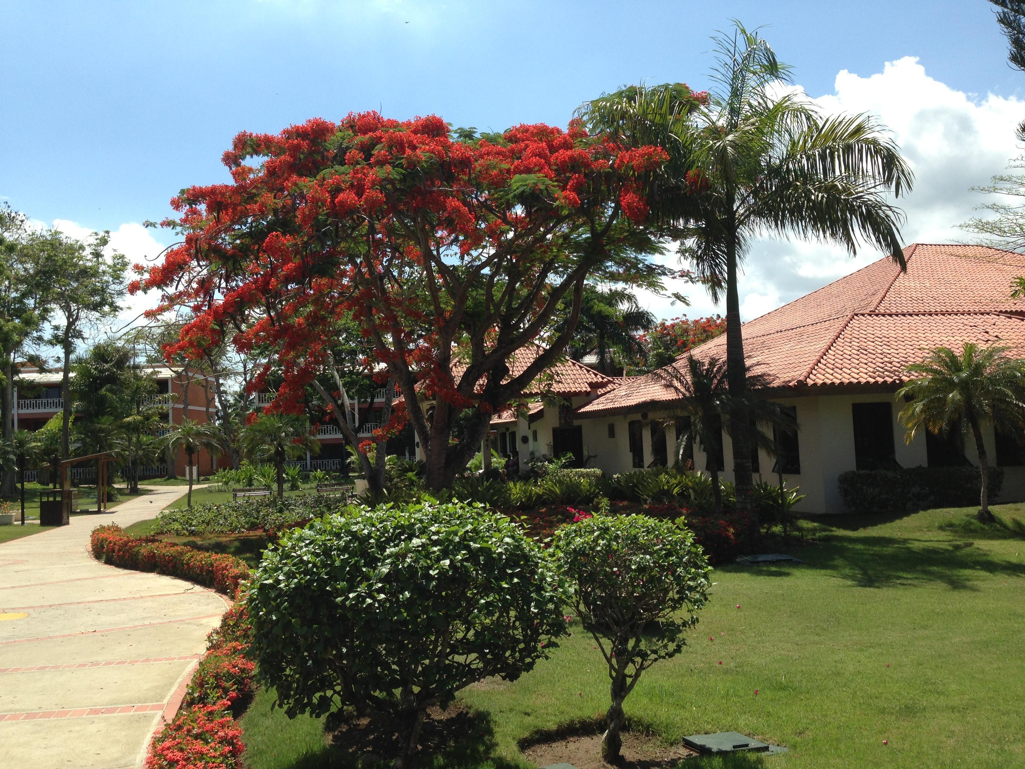 Bellevue Dominican Bay Apartment *