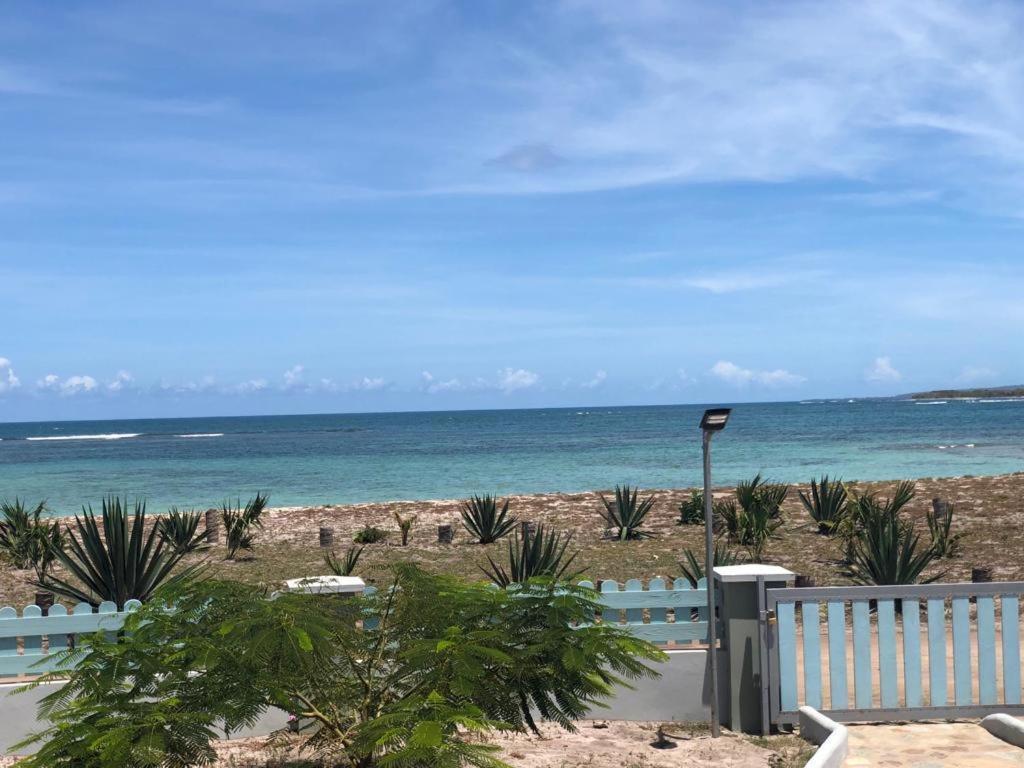 Cristal Hotel Punta Rucia