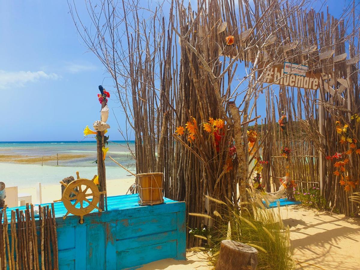 Bluemare Ecohotel Frente A La Playa Ensendada Hotel Punta Rucia