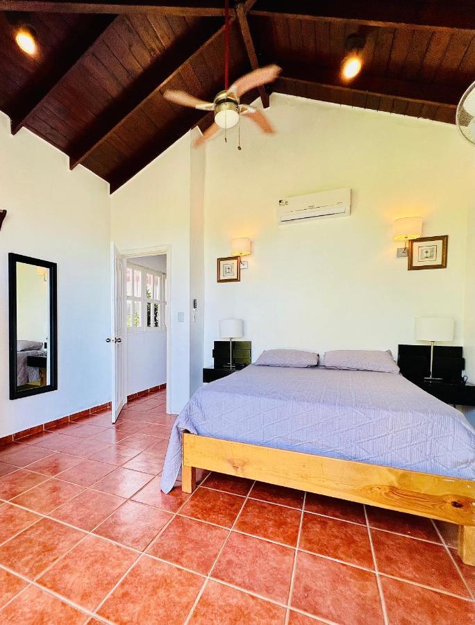 Palm House - Luxury - Samana - Ocean Front *