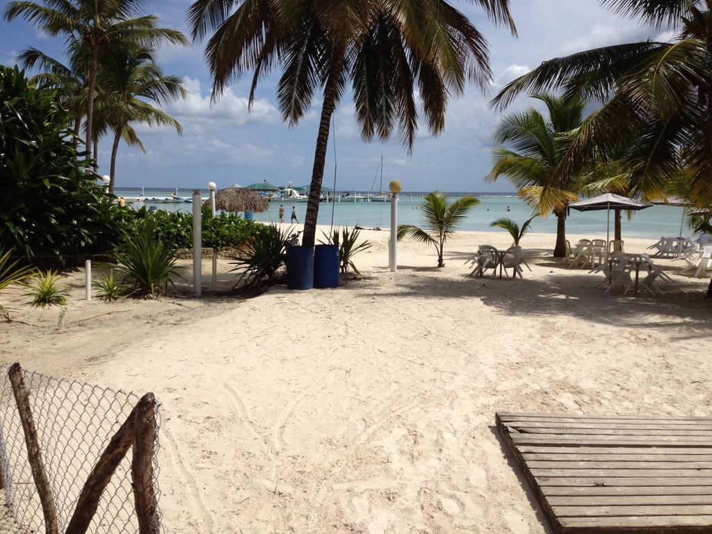 Arena Coco Playa