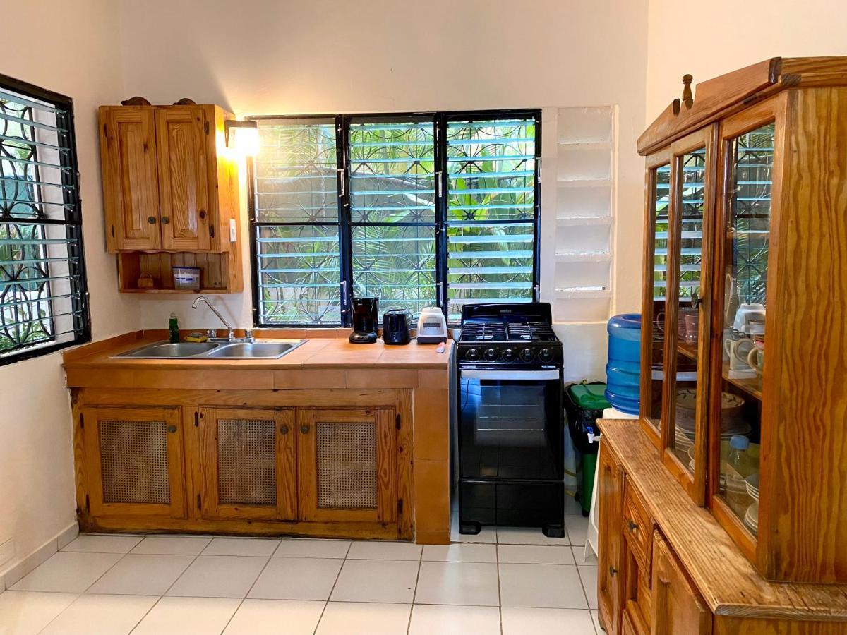 Alegria 2* Cabarete