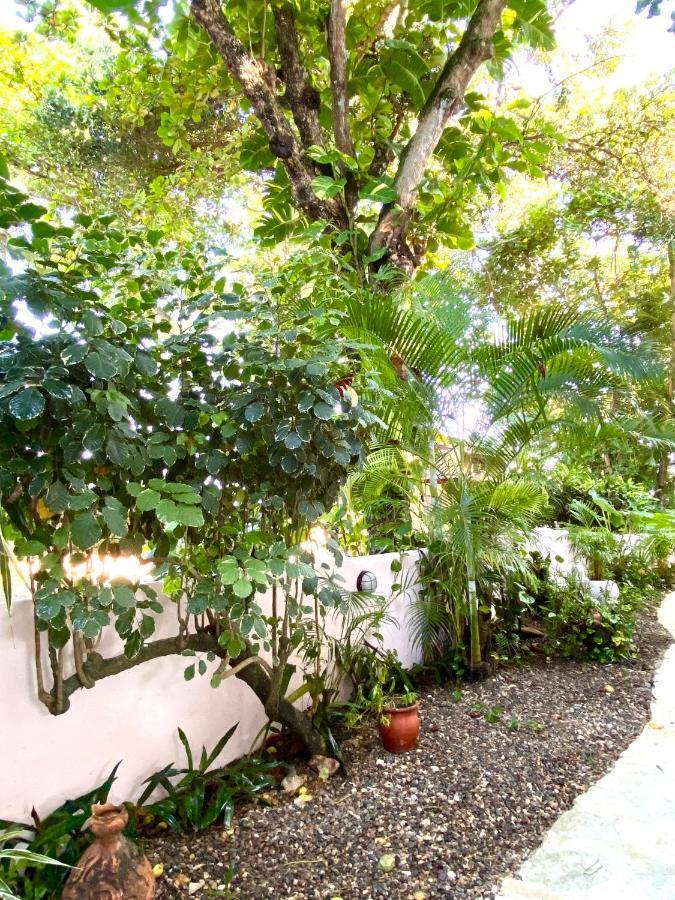 Alegria 2* Cabarete