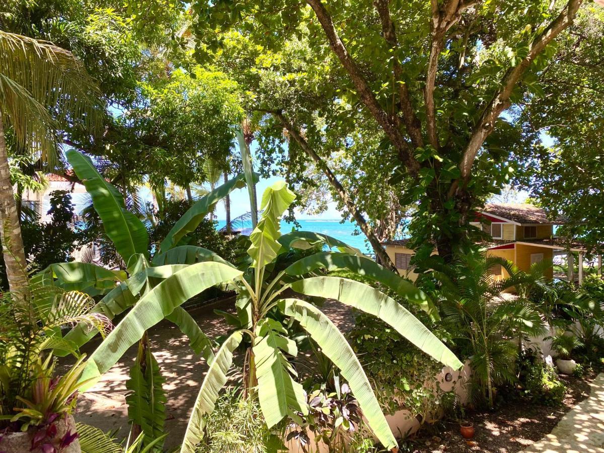 Alegria 2* Cabarete
