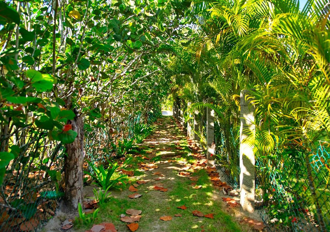 Hotel Chaykovski Boutique H Las Terrenas