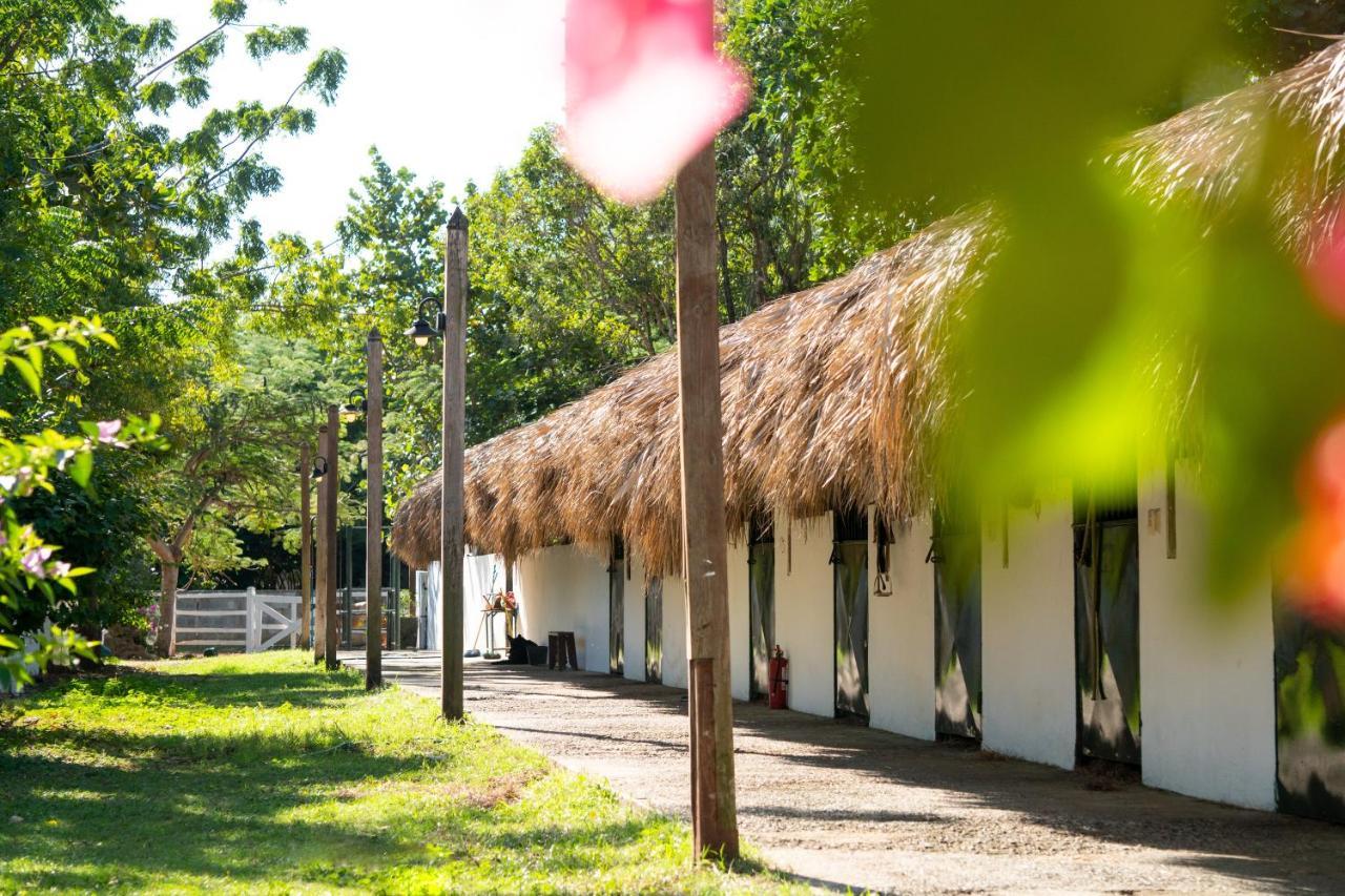 Casa Hemingway 4*