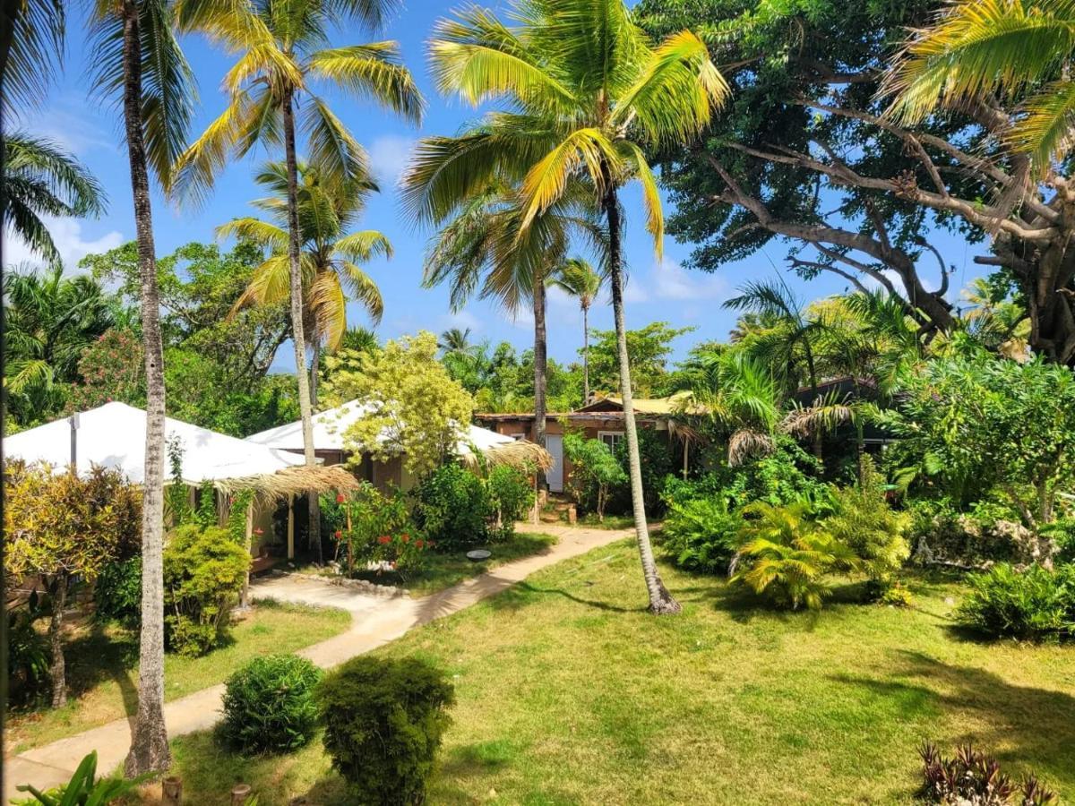 Arena Oceanview & La Terraza Restaurant Hotel Las Galeras