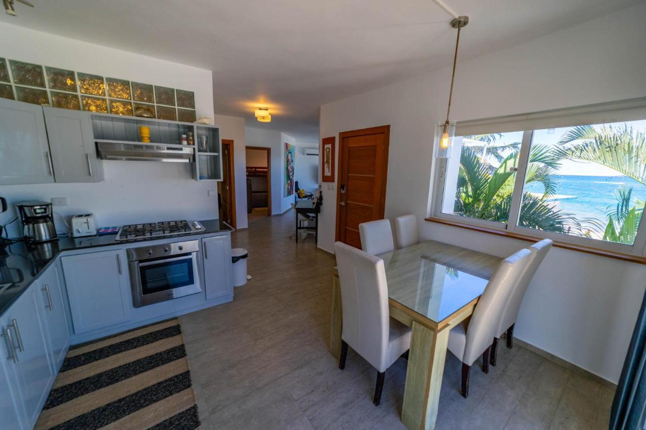 Panoramic Views Two Decks 1st Row Ocean Kite Apartment Cabarete