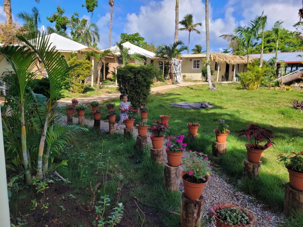 Hotel Arena Oceanview & La Terraza Restaurant Las Galeras