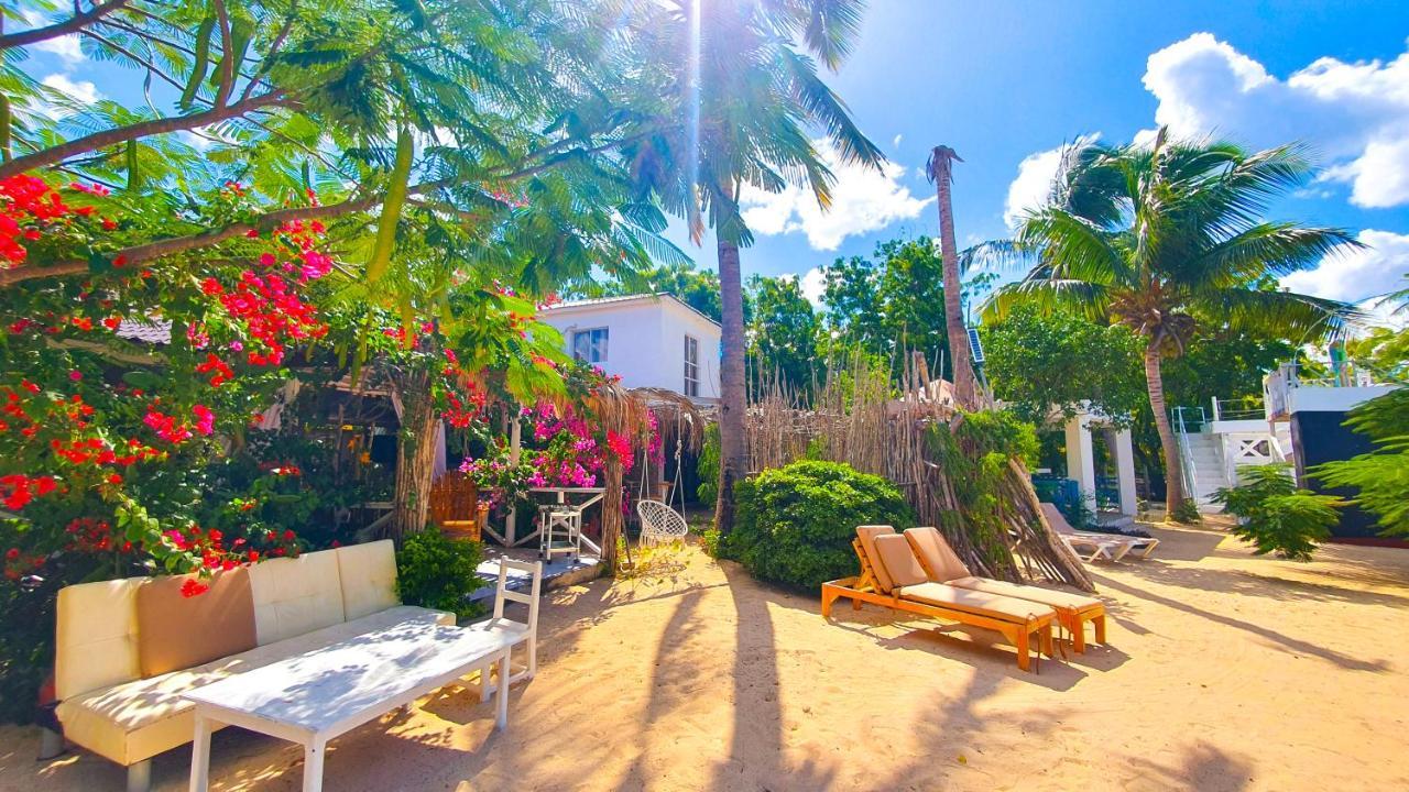Bluemare Ecohotel Frente A La Playa Ensendada Hotel