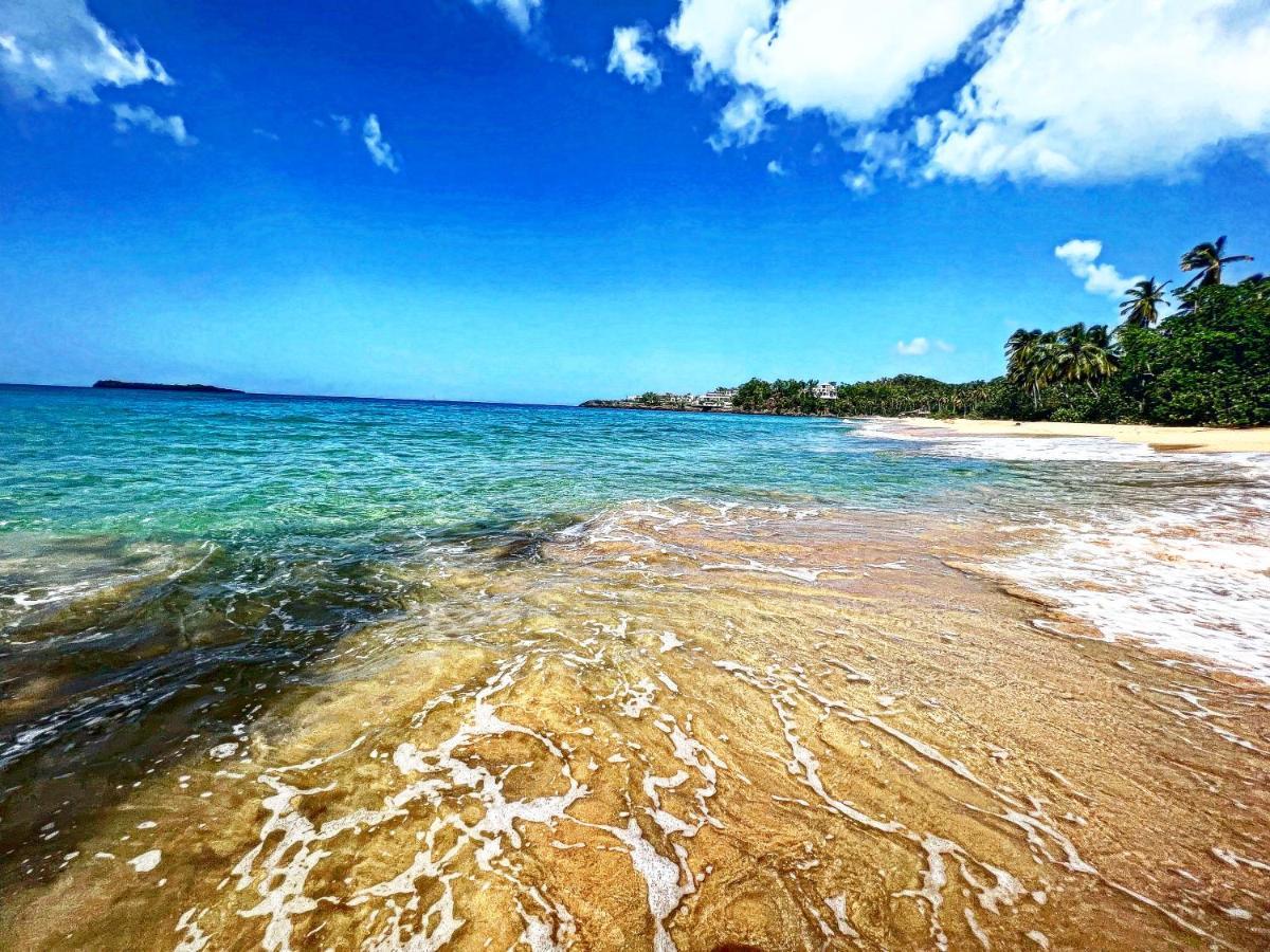 Oreuga Private Sea View * Punta Cana