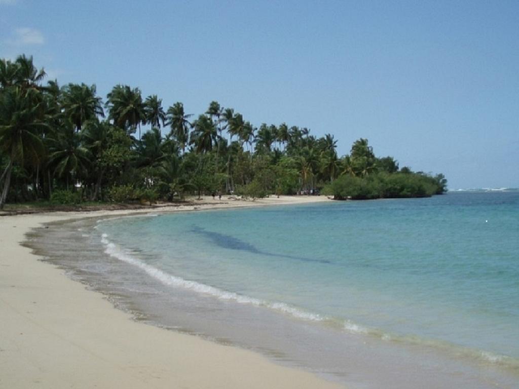 Tres Bel Appartement Las Terrenas