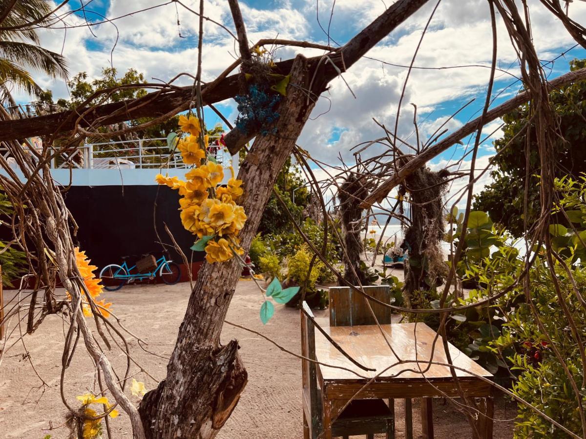 Bluemare Ecohotel Frente A La Playa Ensendada Hotel Punta Rucia