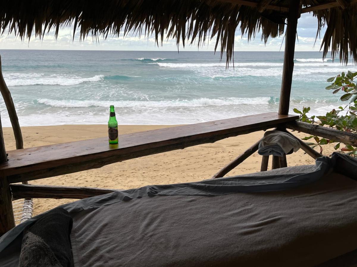 Eco De Luxe Encuentro Surf, Kite Lodge Cabarete