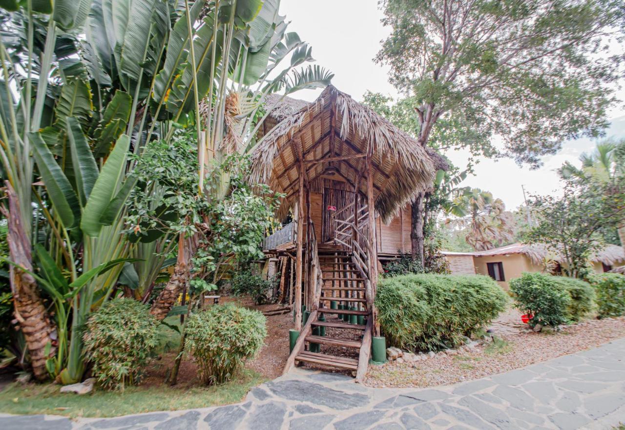 Eco De Luxe Encuentro Surf, Kite Cabarete