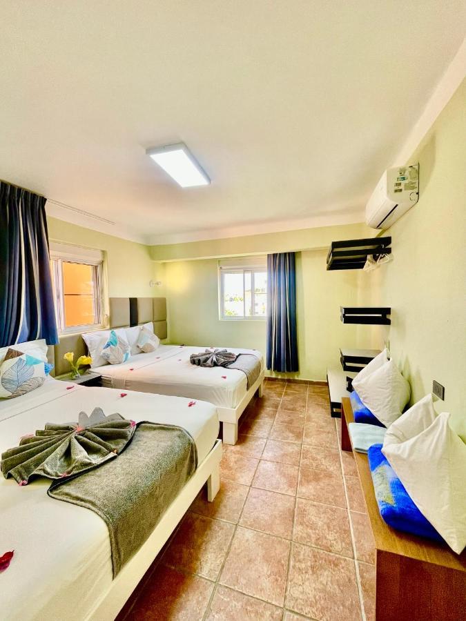 Iguana Bed & Breakfast Bayahibe