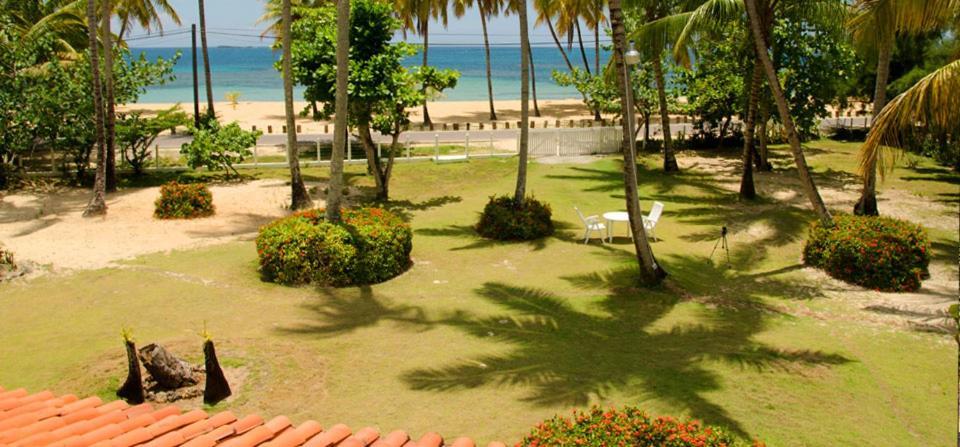 Directly On The Beach, Ballenas * Las Terrenas