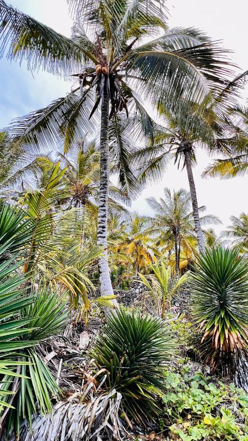 Villa Palm House - Luxury - Samana - Ocean Front