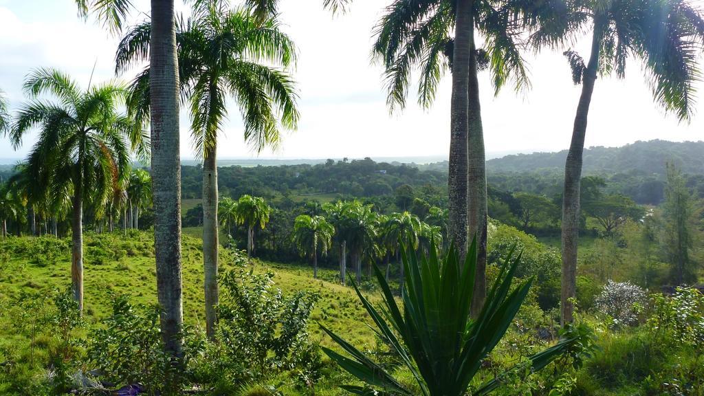 Campsite Camping National Park Close To Beach Puerto Plata
