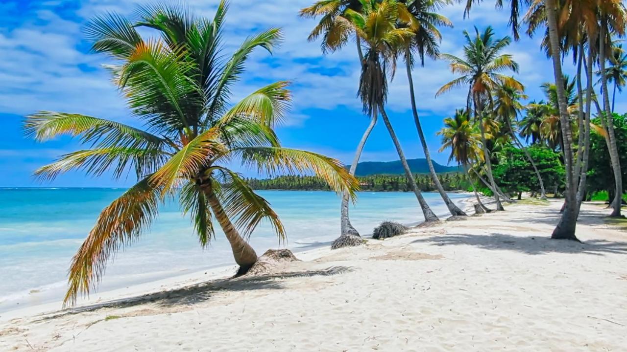Resort Villas Paradiso Bio-resort Las Galeras