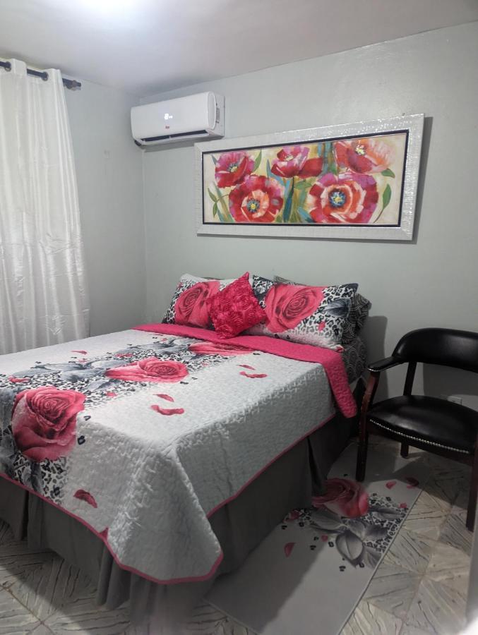 Apartment Entero En Tios 1 Y 2 Samana