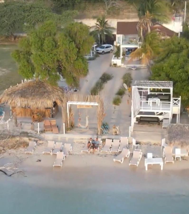 Bluemare Ecohotel Frente A La Playa Ensendada Hotel *