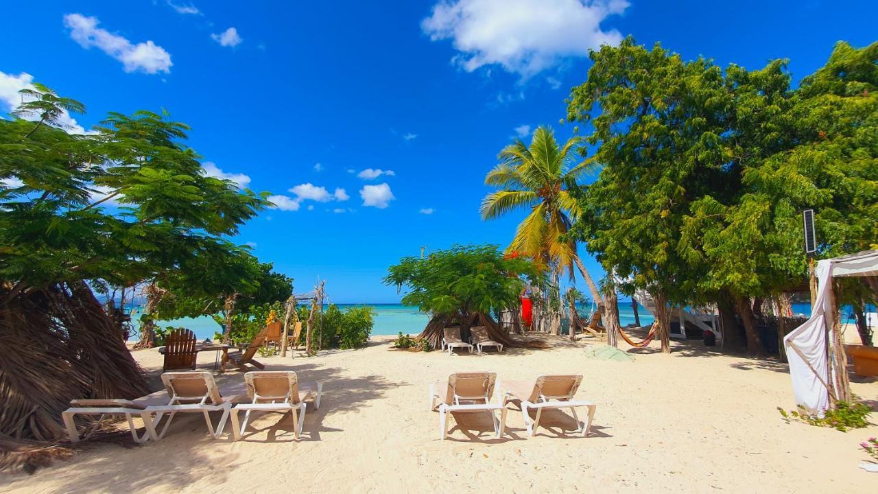 Bluemare Ecohotel Frente A La Playa Ensendada *