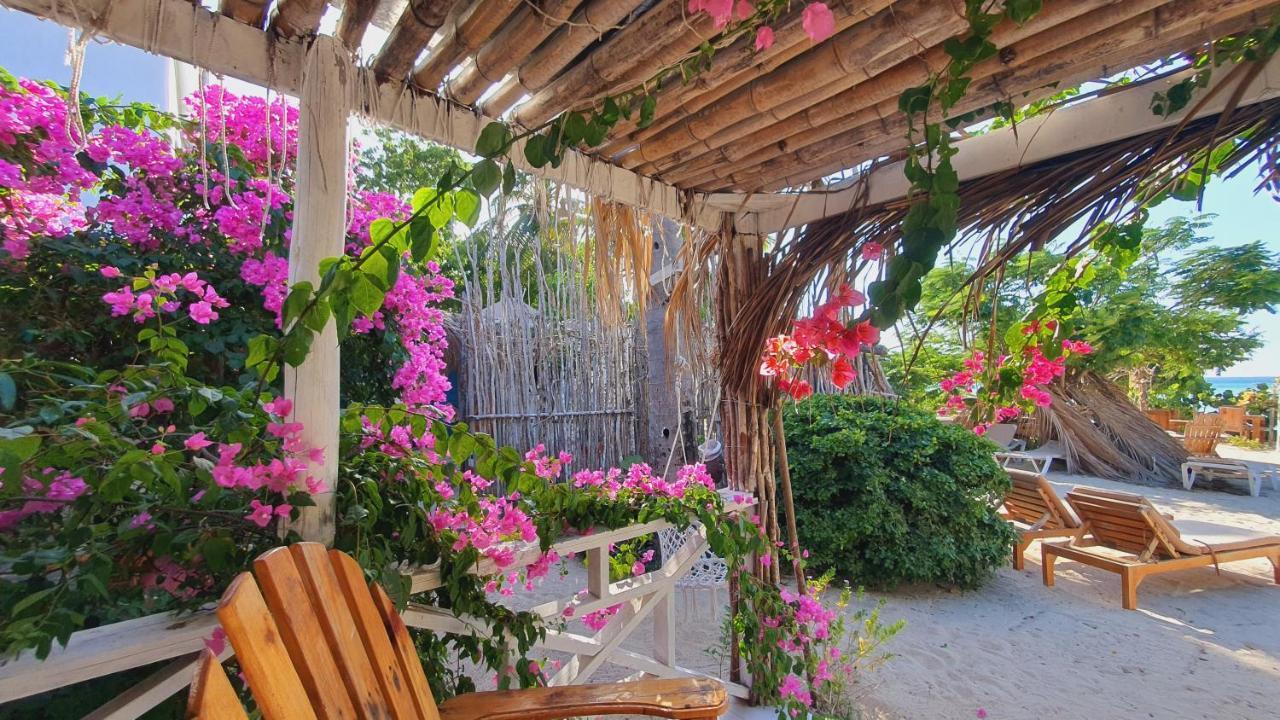 Bluemare Ecohotel Frente A La Playa Ensendada Punta Rucia