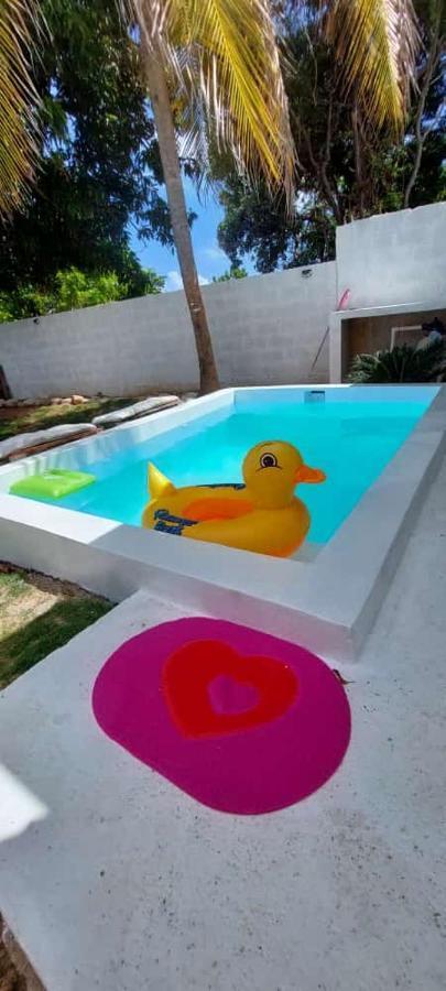 Apto Blancos, A Dos Minuto De Patos Los Patos