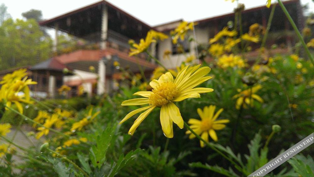 Hotel Altocerro & 3*