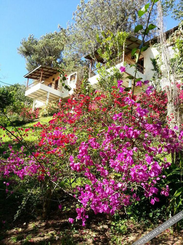 Altocerro & 3*