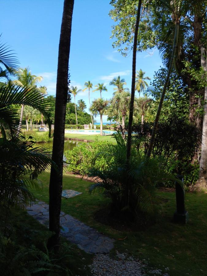 Apartment Beachfront 2br With Pool & Terrace In Terrenas