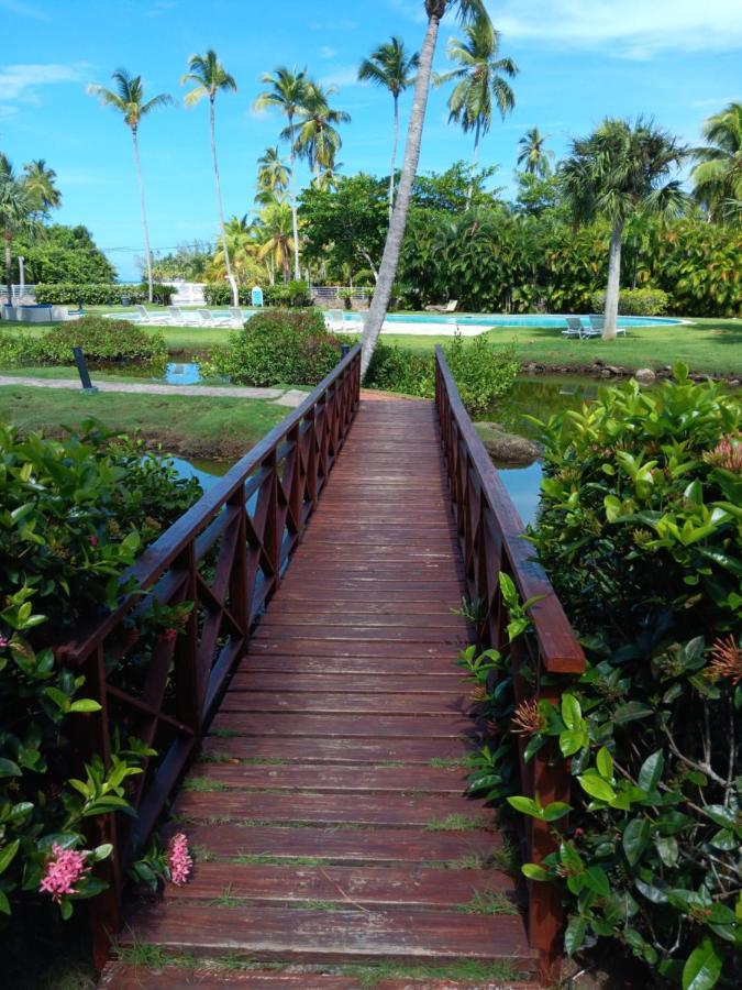 Beachfront 2br With Pool & Terrace In Terrenas