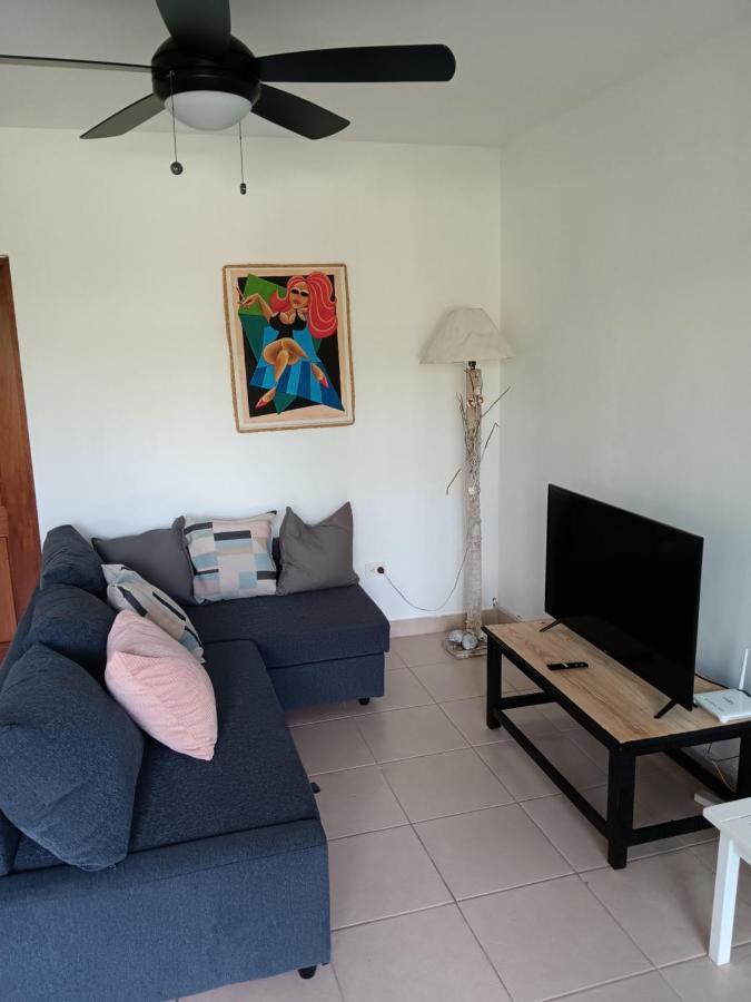 Apartment Beachfront 2br With Pool & Terrace In Terrenas *