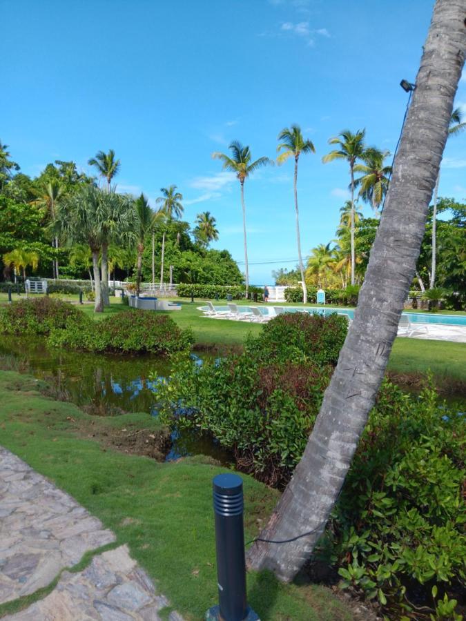 Beachfront 2br With Pool & Terrace In Terrenas Las Terrenas