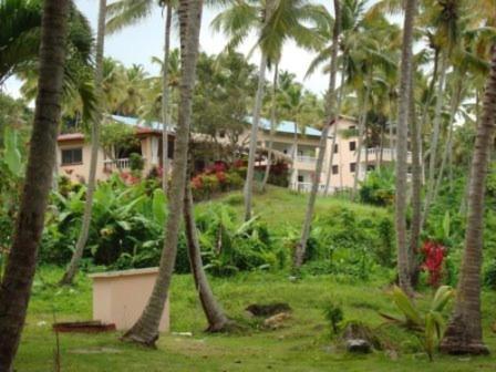 Tambora Hotel