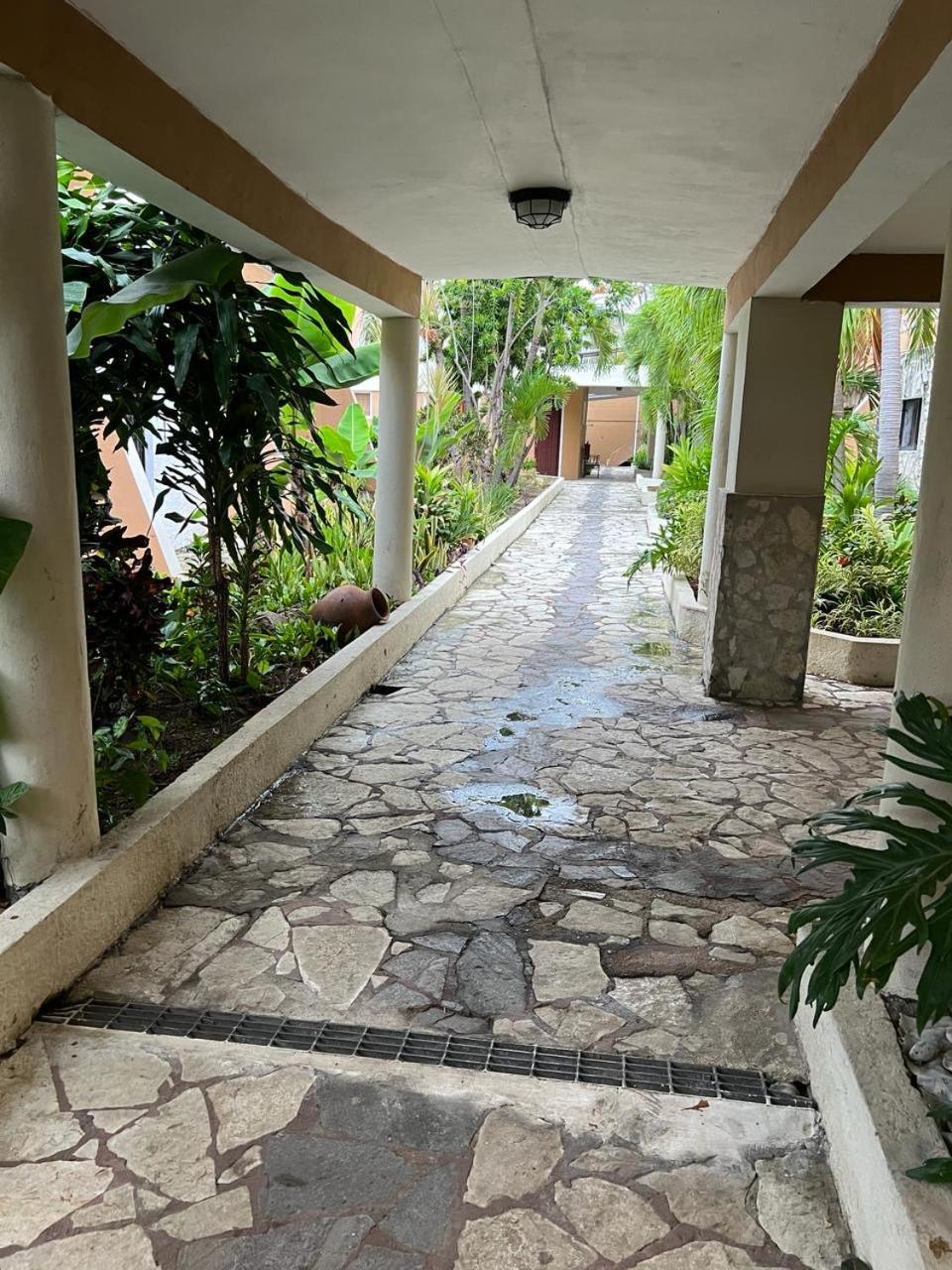 Tropicana Santo Domingo 4* La Viva