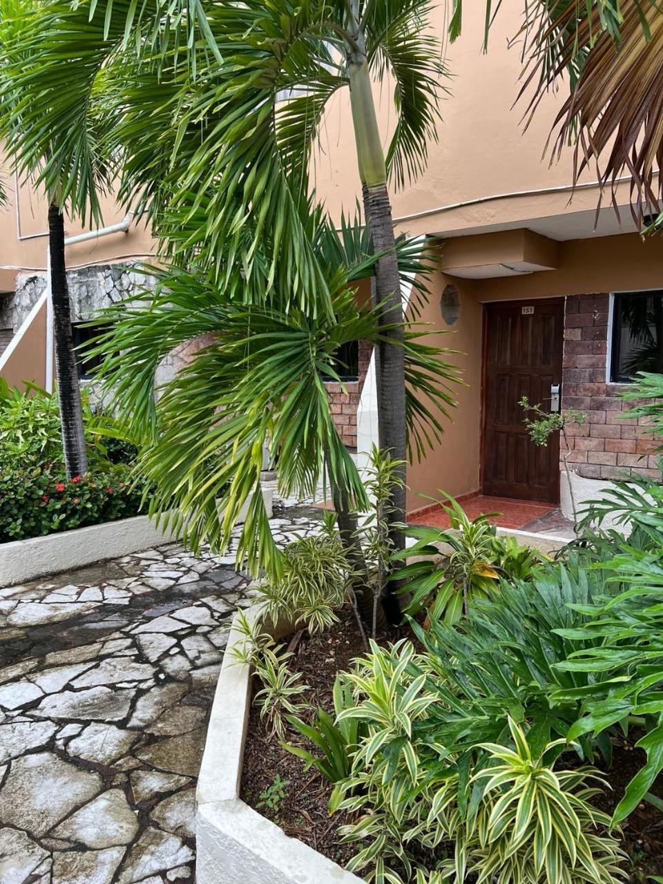 Tropicana Santo Domingo La Viva