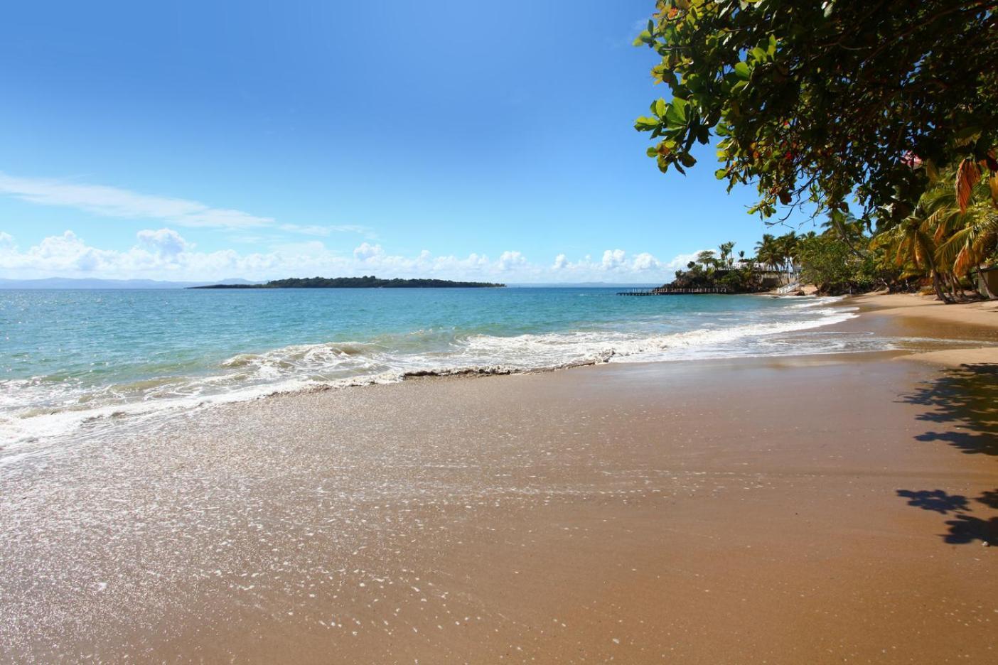 Hotel Bahia Principe Grand - Adults Only 5*