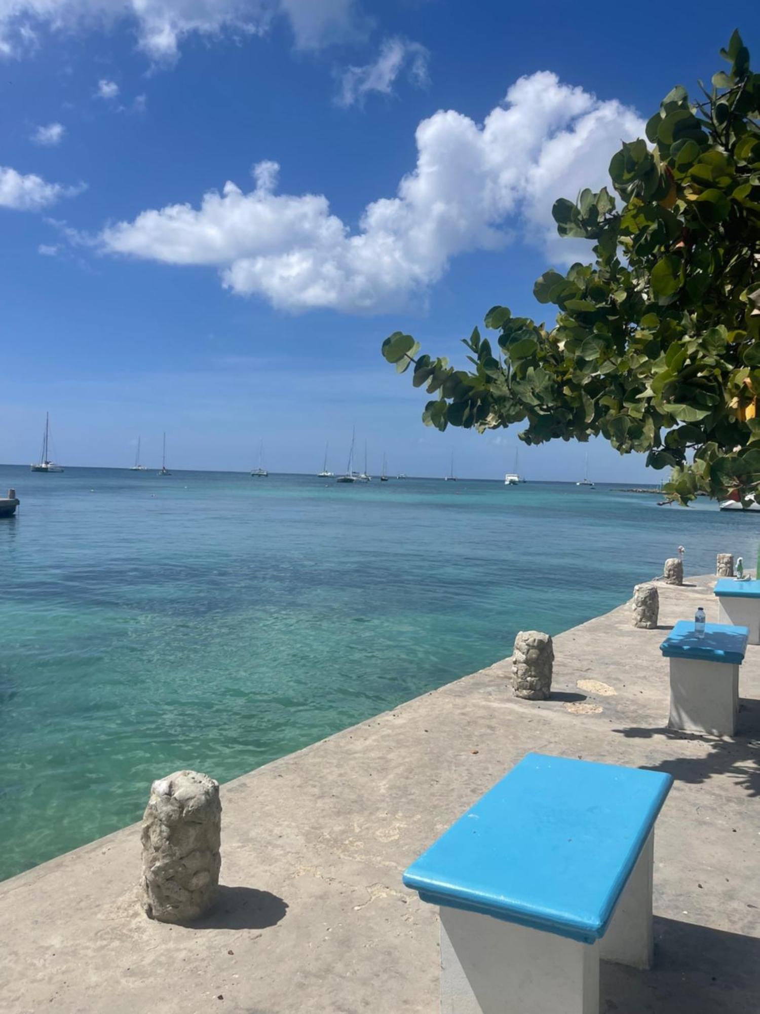 Luna Bayahibe