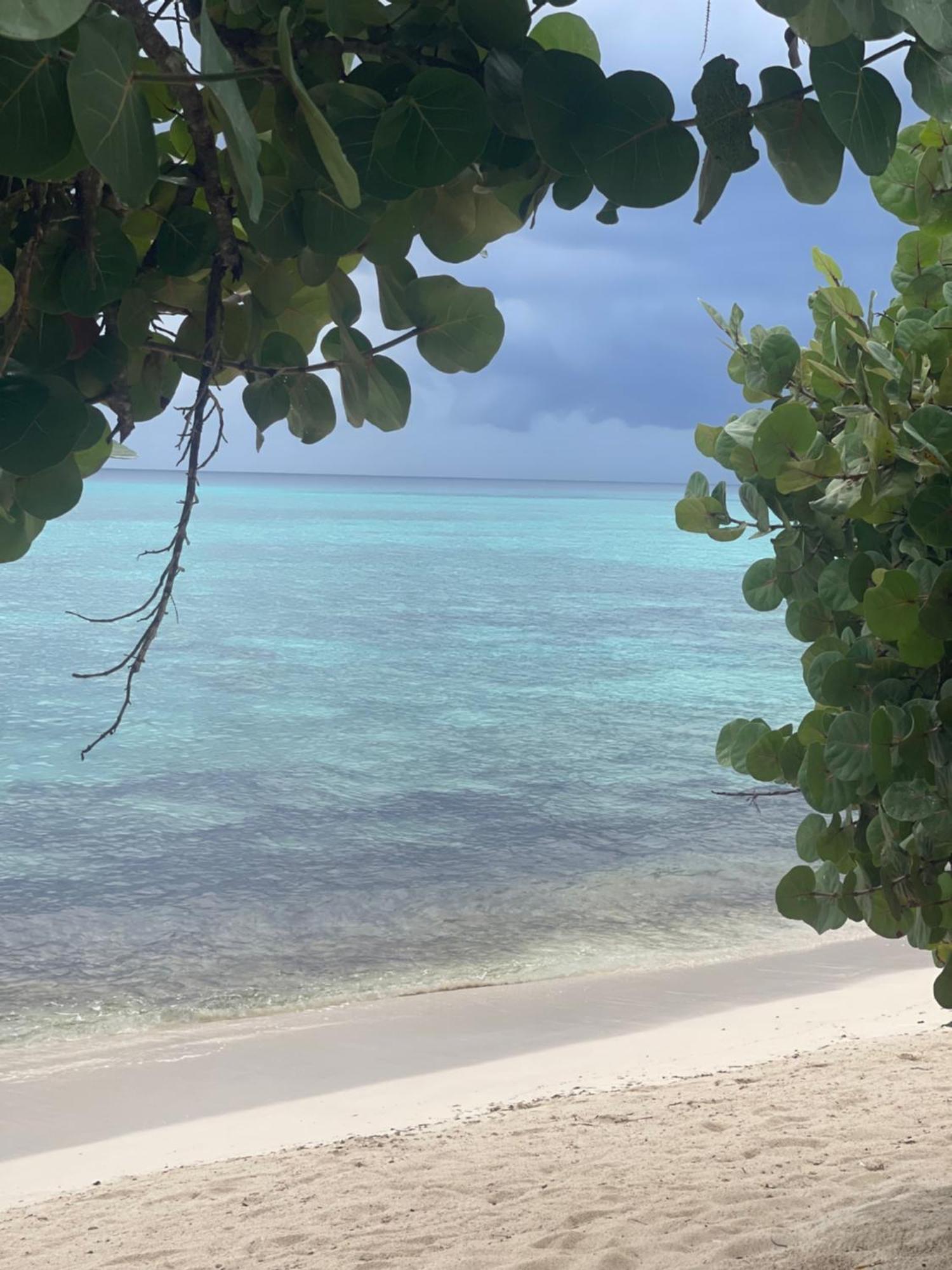 Luna 3* Bayahibe