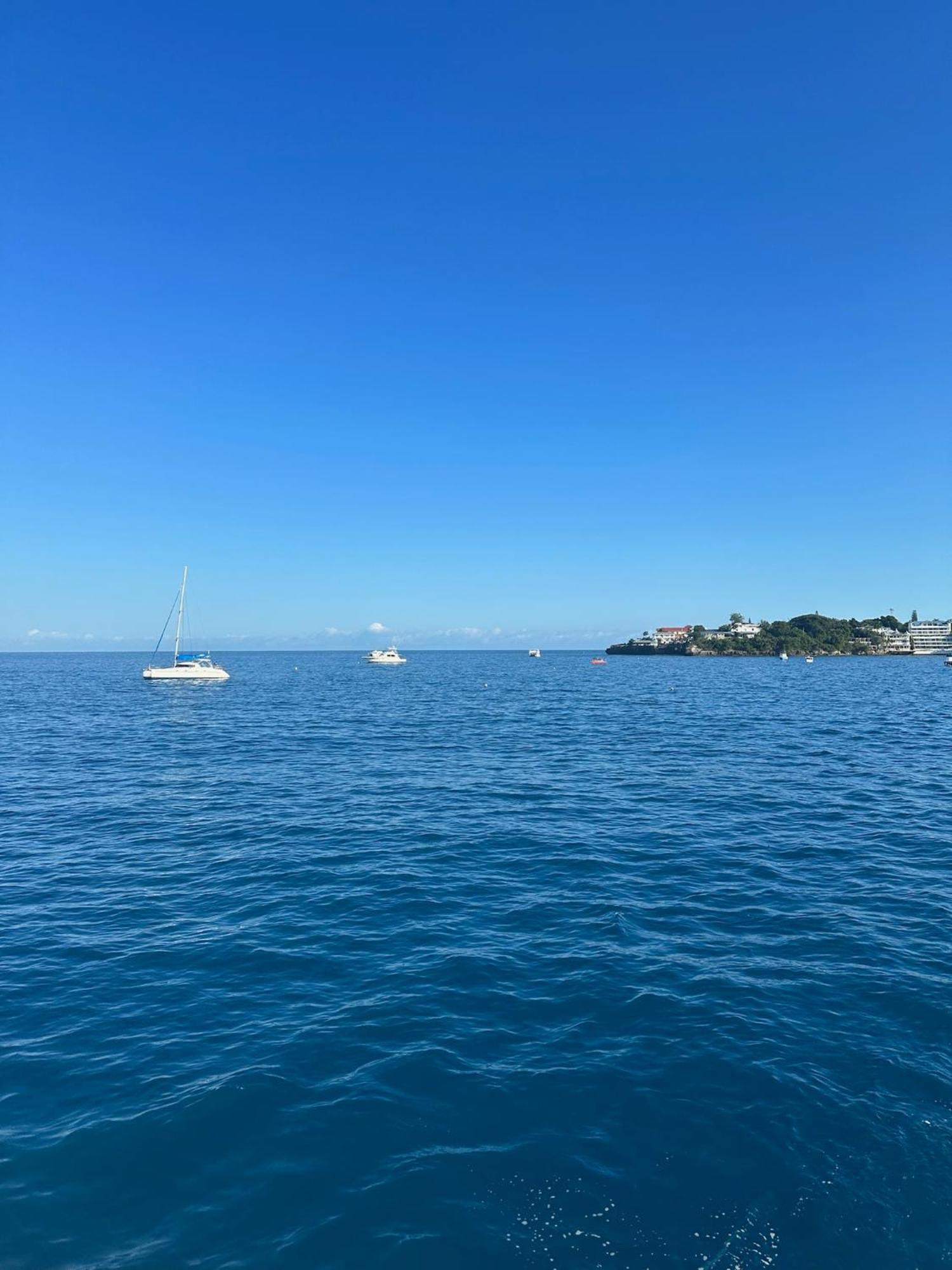 Catalina, Oceanview Multi 2 Bd 2 Bath Units With Balcony And Pool Apartment *