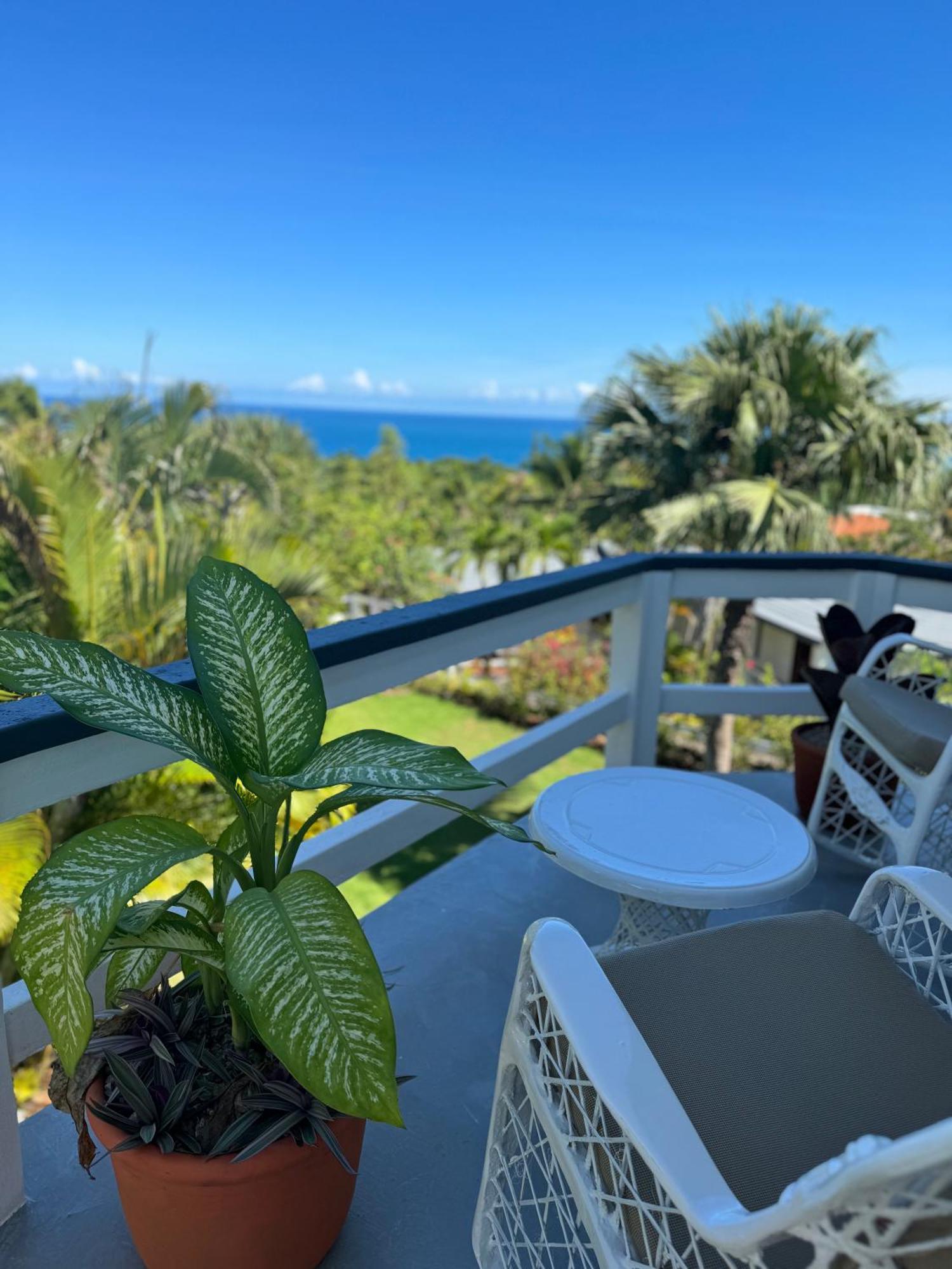 Catalina, Oceanview Multi 2 Bd 2 Bath Units With Balcony And Pool Apartment *