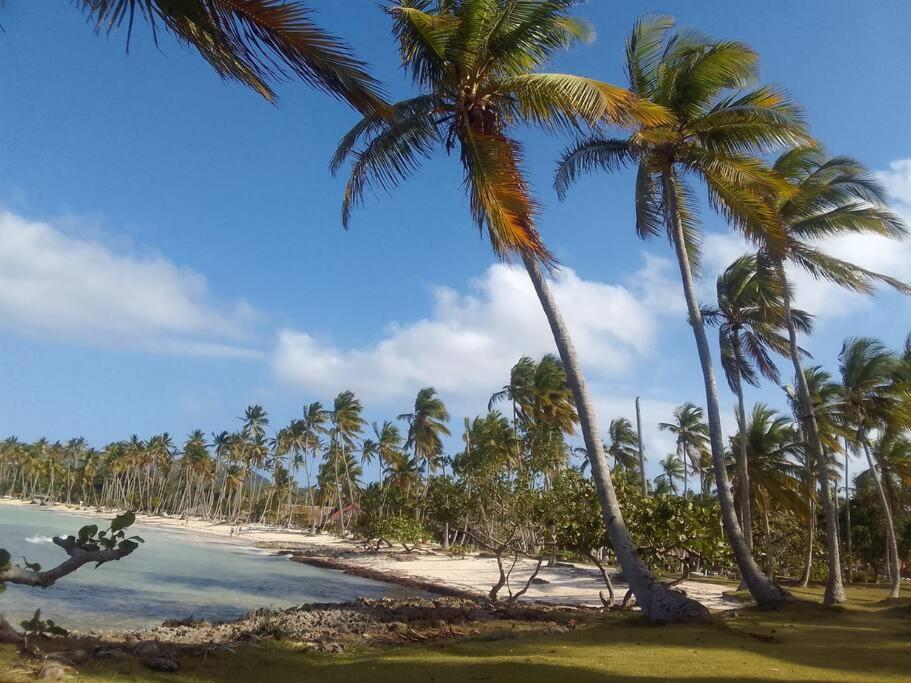 Caribbean House For Family Las Galeras