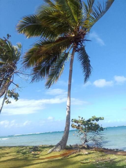 Caribbean House For Family Holiday home *