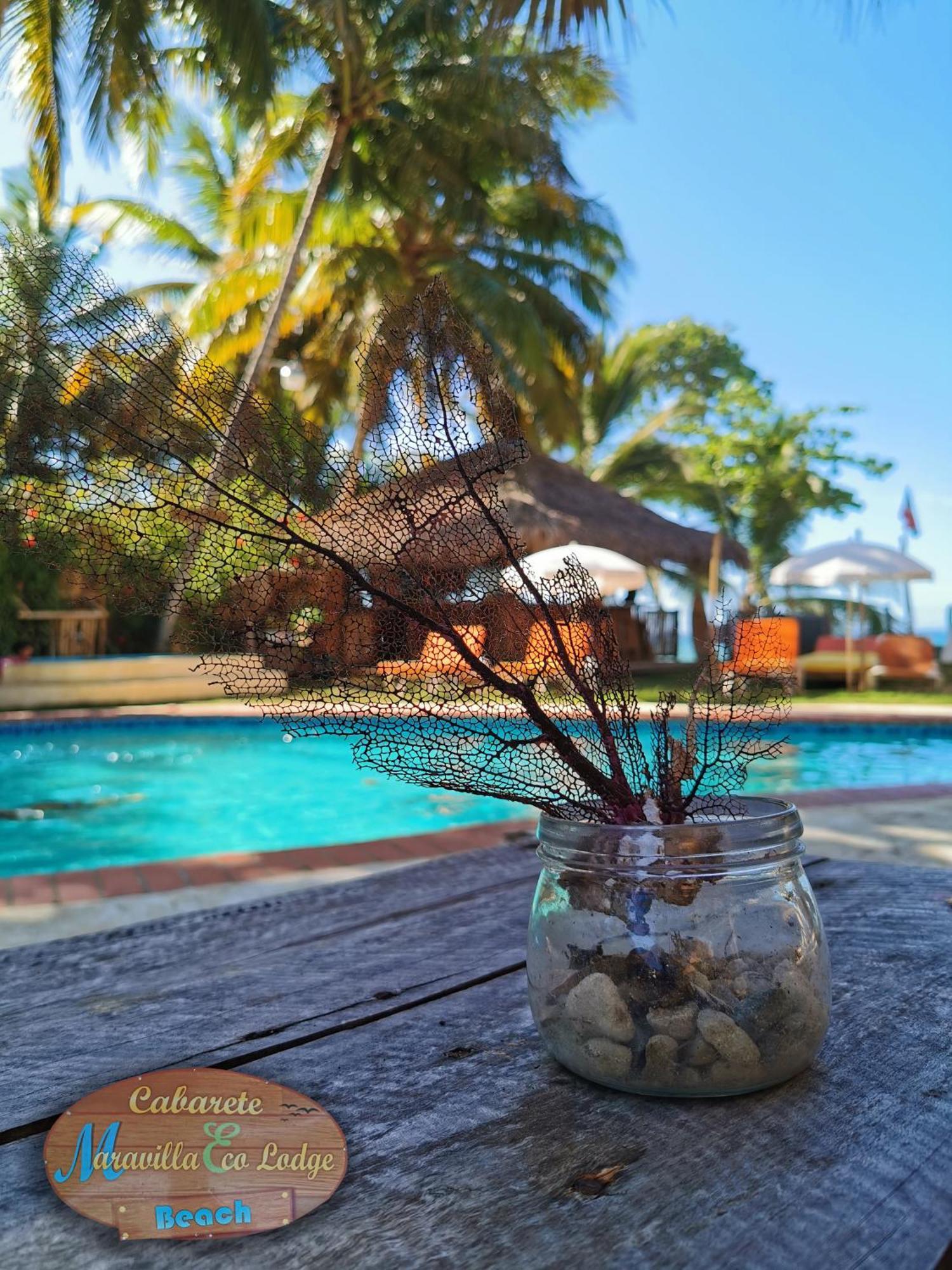 Eco De Luxe Encuentro Surf, Kite Lodge Cabarete