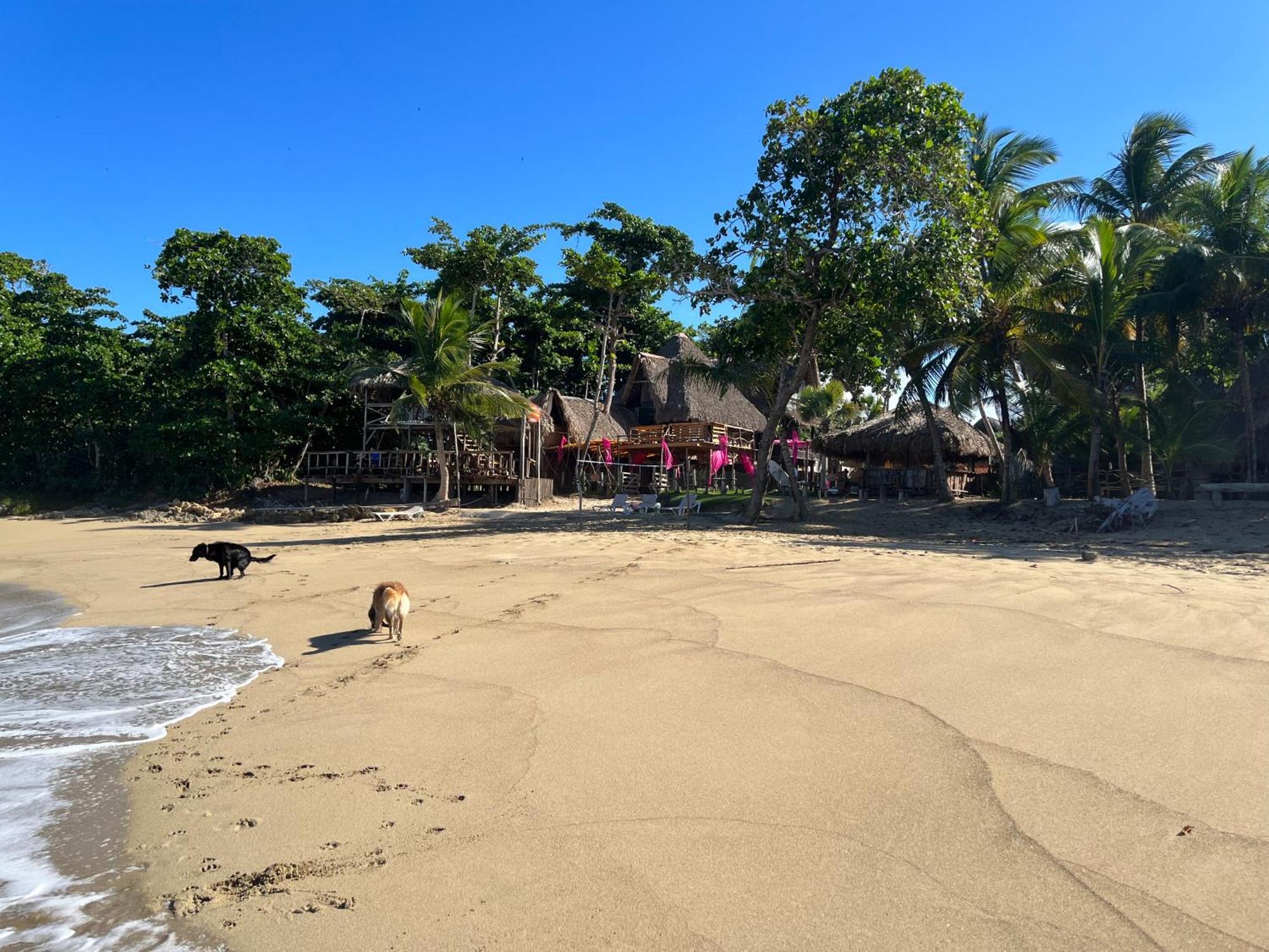 Eco De Luxe Encuentro Surf, Kite Lodge Cabarete