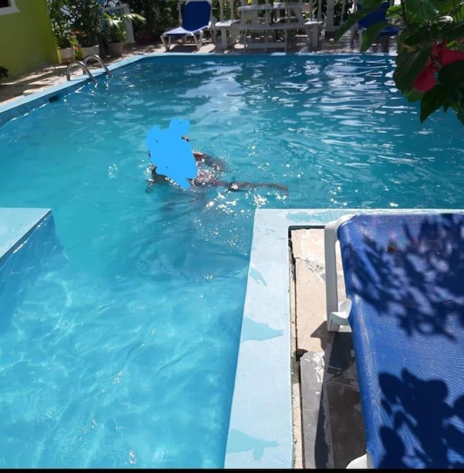 Blue House Ocean View Apartment *