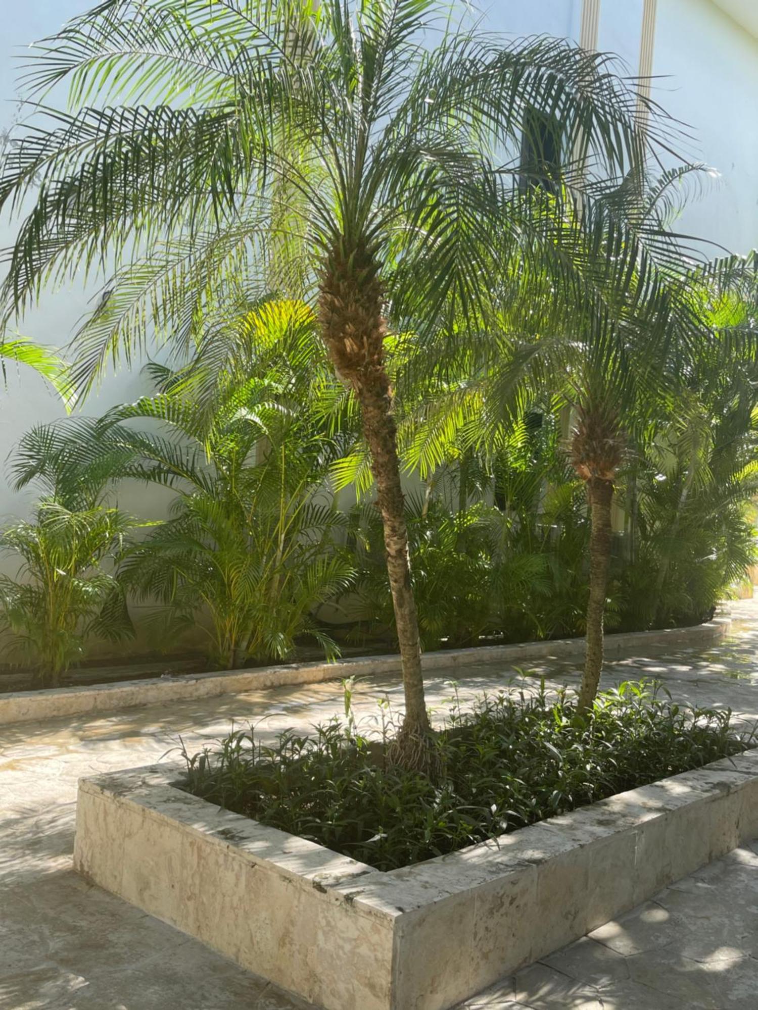 Plaza Brisas Mt Punta Cana